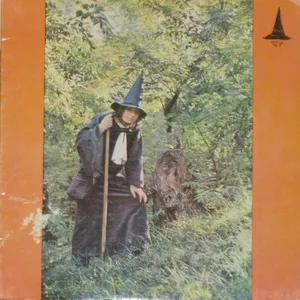 The grey wizard am I